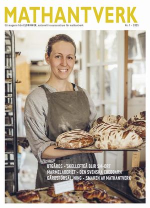 Mathantverk_nr1_2025_webb.pdf