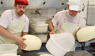 Två osttillverkare i arbete